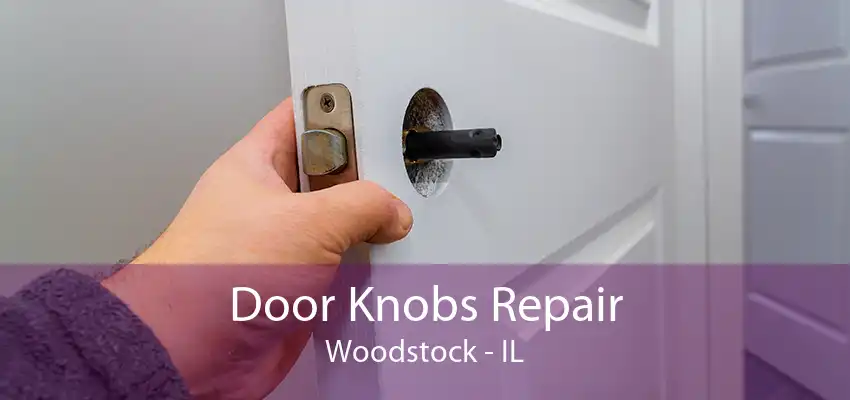 Door Knobs Repair Woodstock - IL