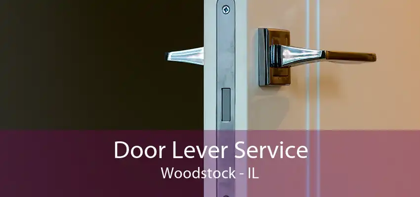 Door Lever Service Woodstock - IL