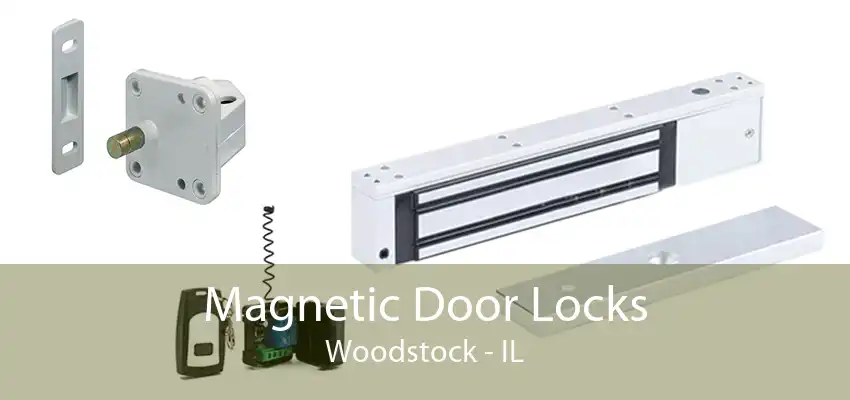 Magnetic Door Locks Woodstock - IL