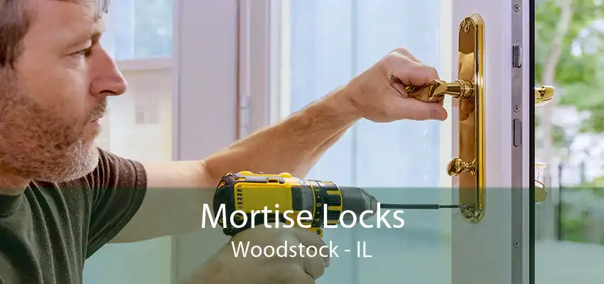 Mortise Locks Woodstock - IL