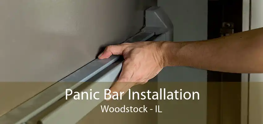 Panic Bar Installation Woodstock - IL