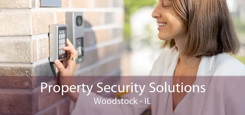 Property Security Solutions Woodstock - IL