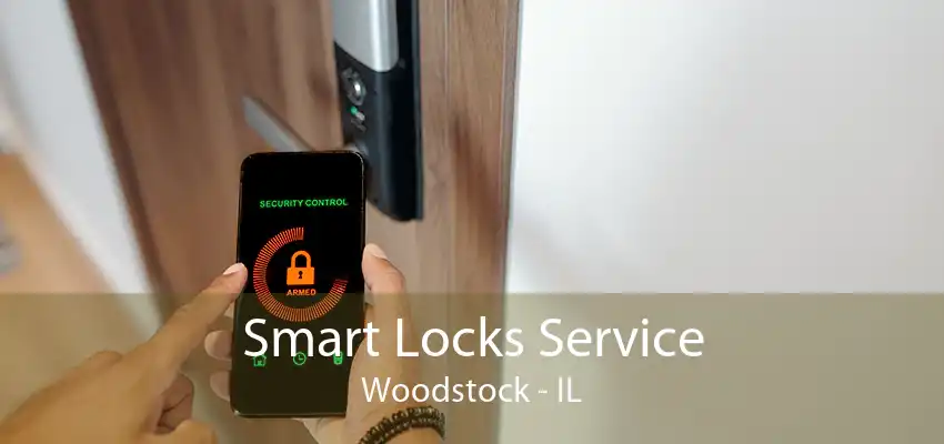 Smart Locks Service Woodstock - IL